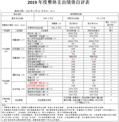 崇阳县政府-崇阳县财政局2019年部门决算