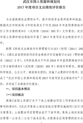 武汉市自然资源和规划局财政资金项目预算绩效评价服务优化路径研究
